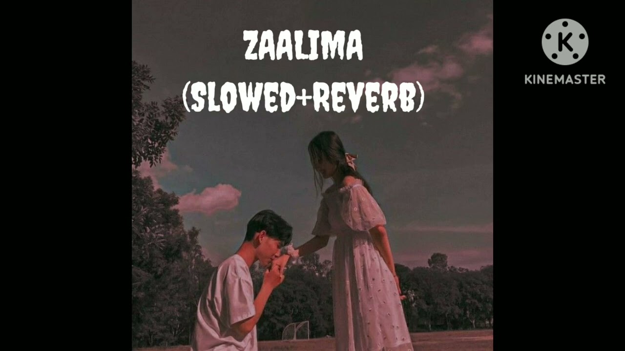 Zaalima (Slowed+Reverb) #lofi #lofimusic #sloweb