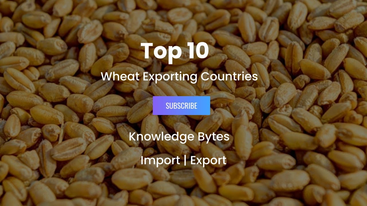 Top ten wheat exporting countries in the World | CETMATRIX