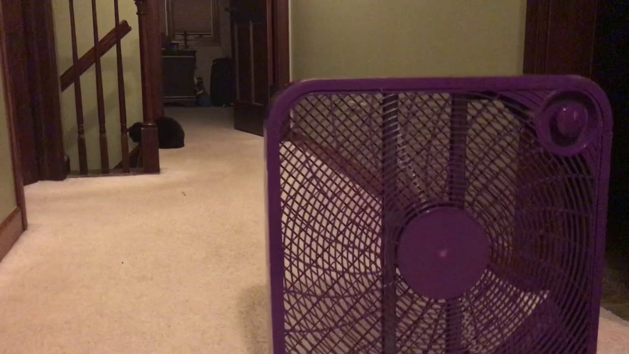 20&rdquo; Purple Mainstays Box Fan (broken).