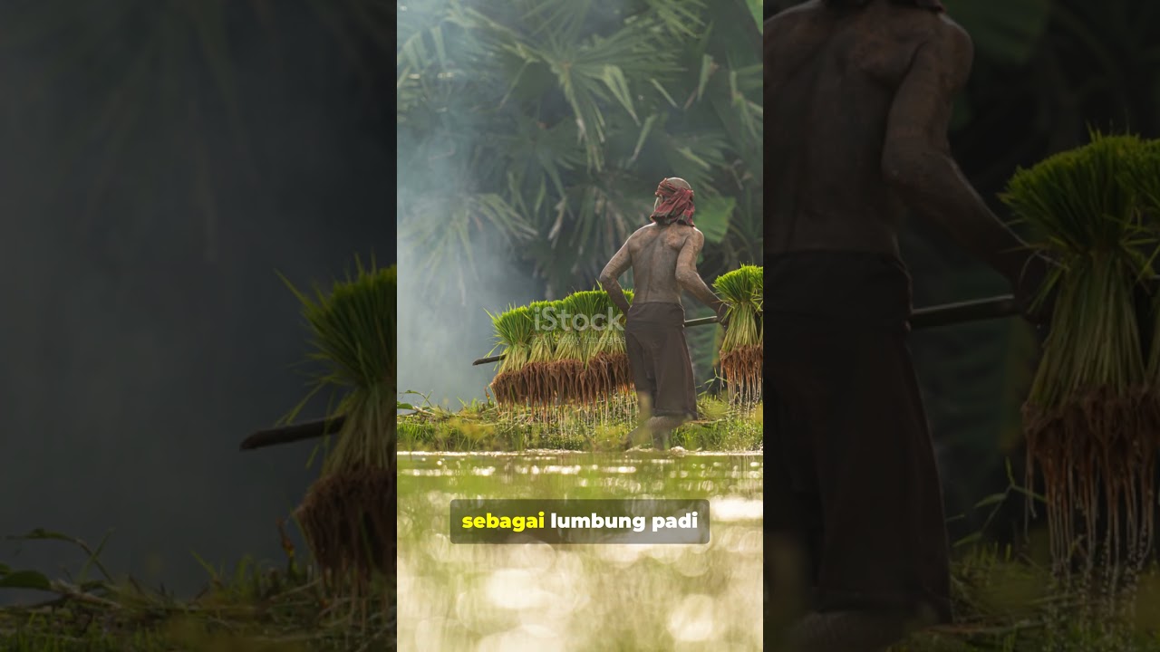 fakta menarik kabupaten Tanah Laut #shortvideo #faktaunik #faktamenarik #sejrahfaktaunik