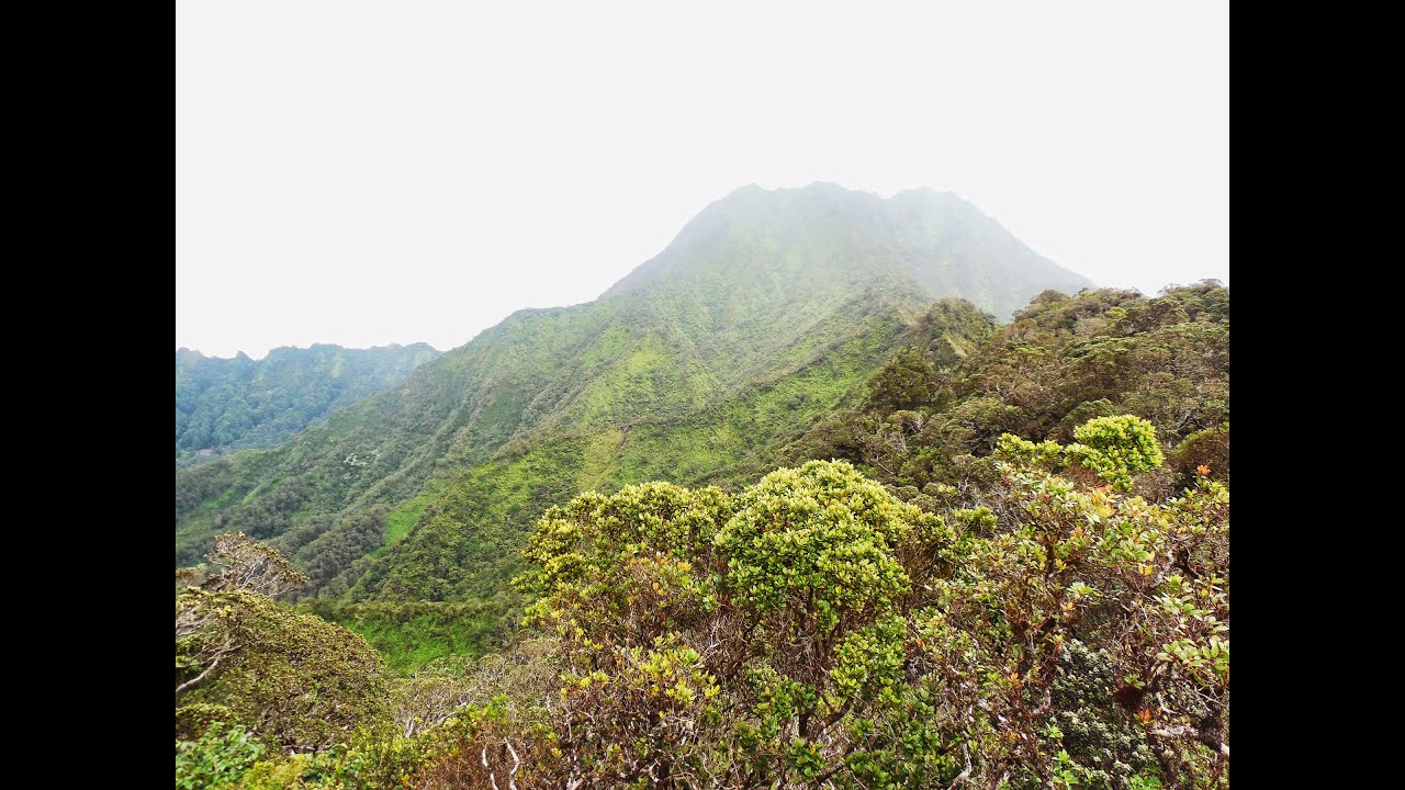 howzitboy hikes:Lanihuli via Kapalama