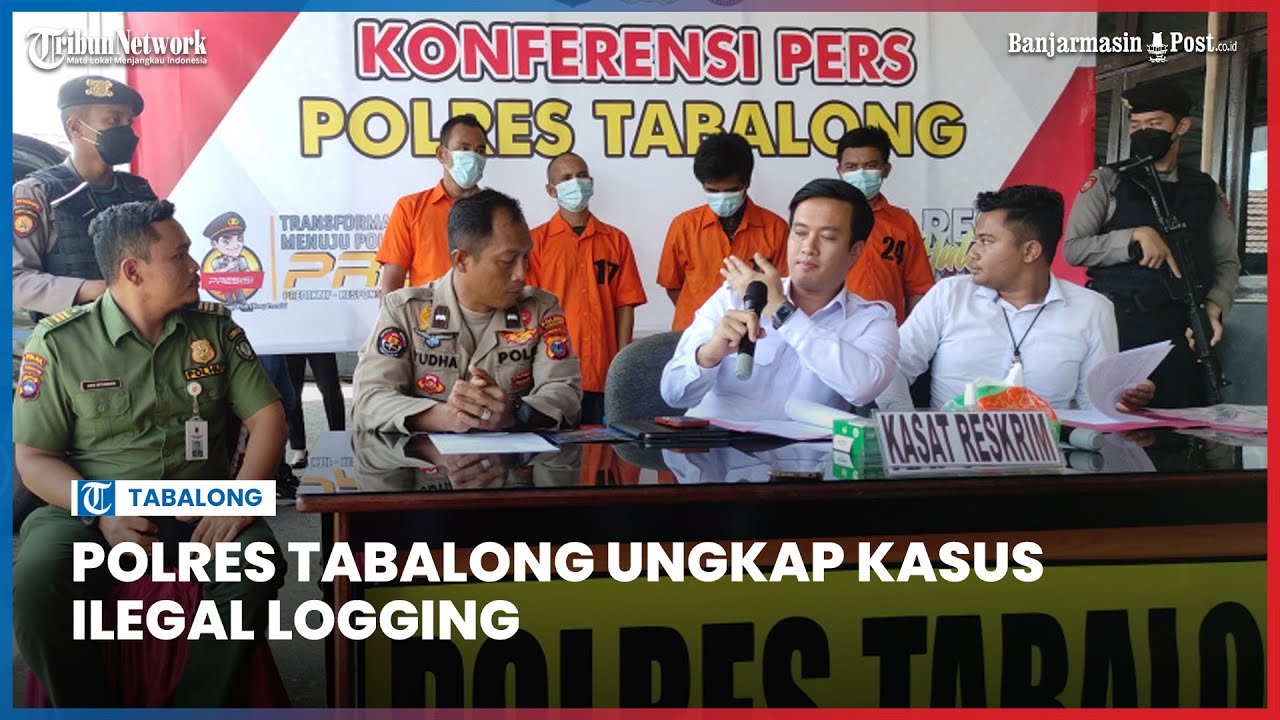 Polres Tabalong Gagalkan Penjualan Ratusan Potong Kayu Ulin Ilegal dari Kaltim, 4 Pelaku Diamankan