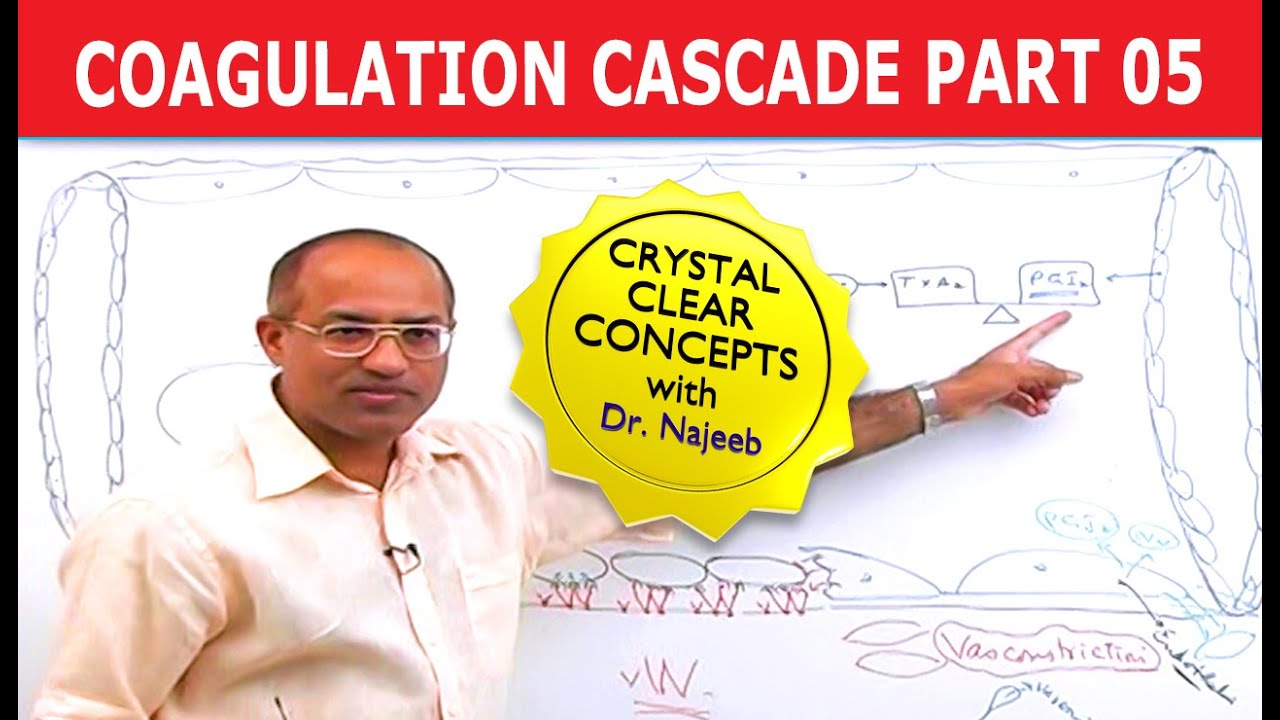Coagulation Cascade | Part 5/12