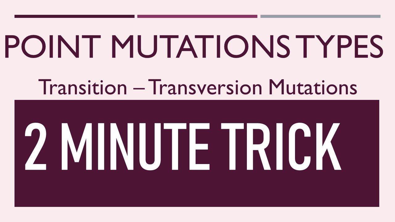 Types of Point Mutation II Transversion, Transition ( Neutral, silent and missense mutation)