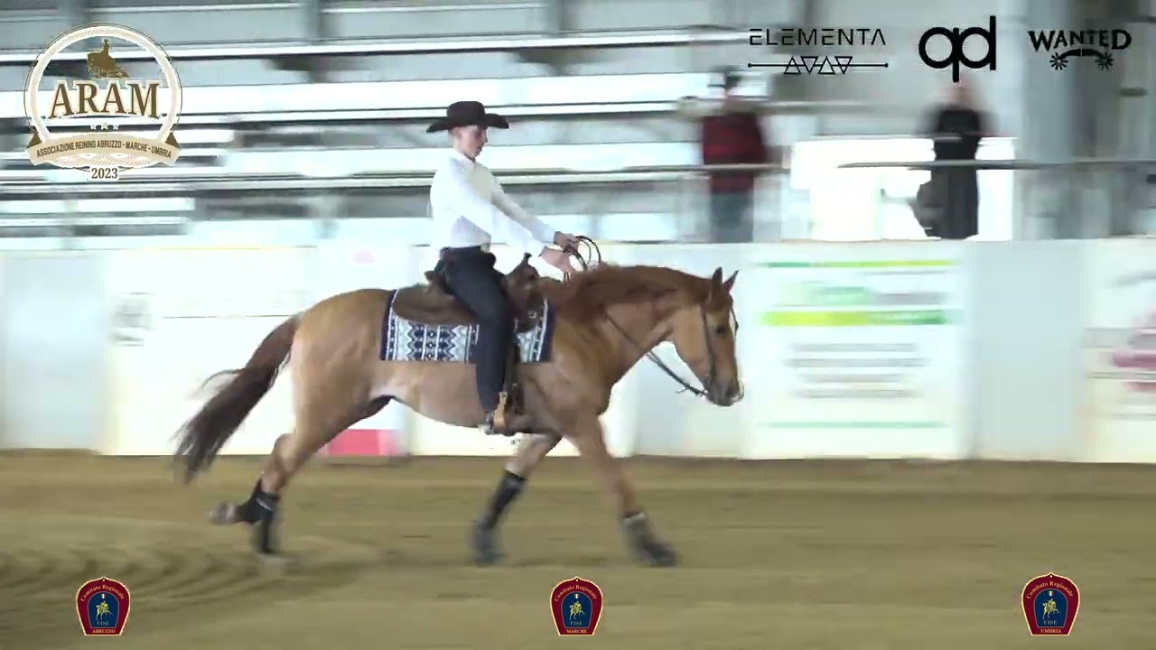 1 show ARAM 2026 - LEONI BRANDO & LB CHIC POWER score 72
