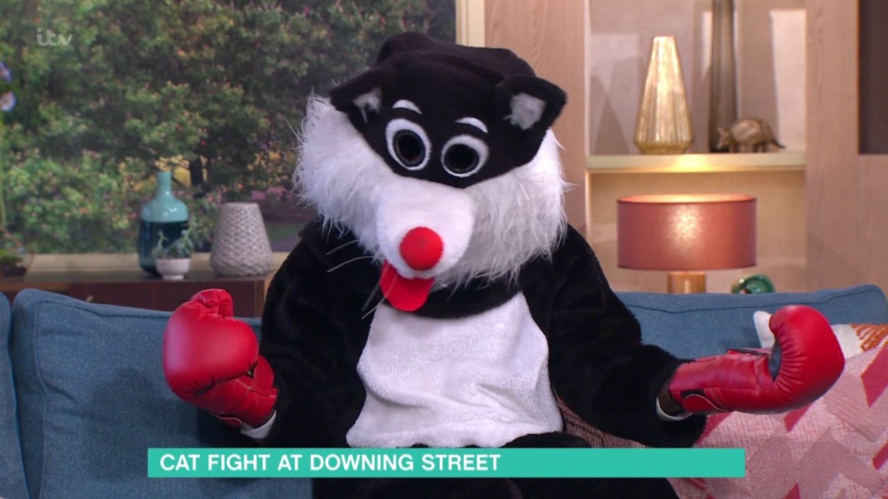 Cat Fight At Downing Street | This Morning