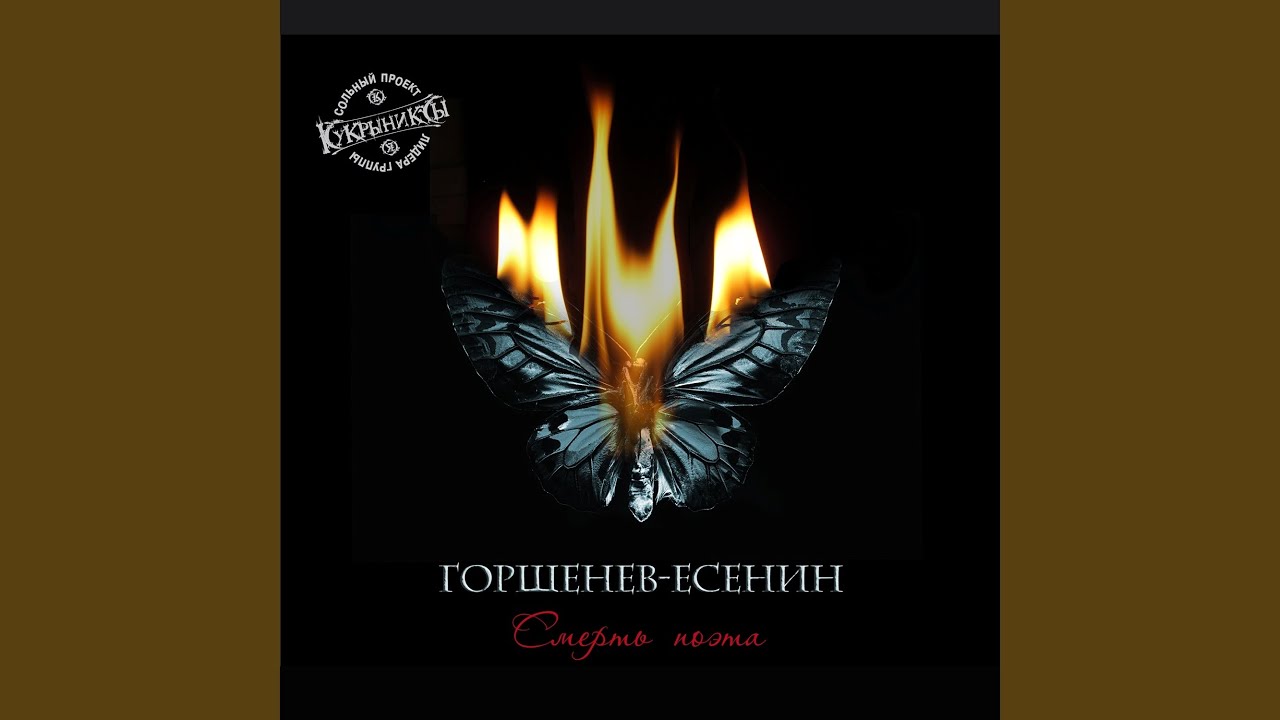 Не ругайтесь!