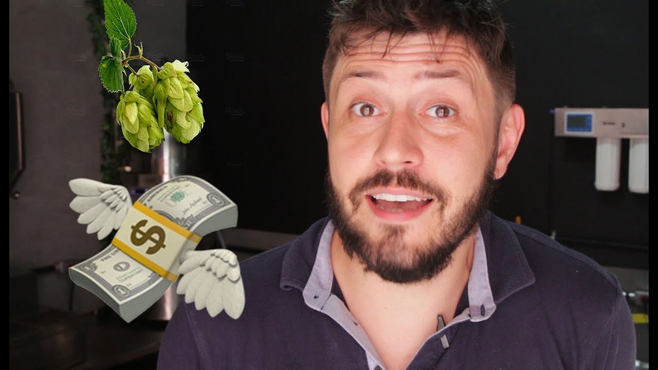 Se você usa mais de 8g/L de lúpulo no DH está perdendo dinheiro - Beer School