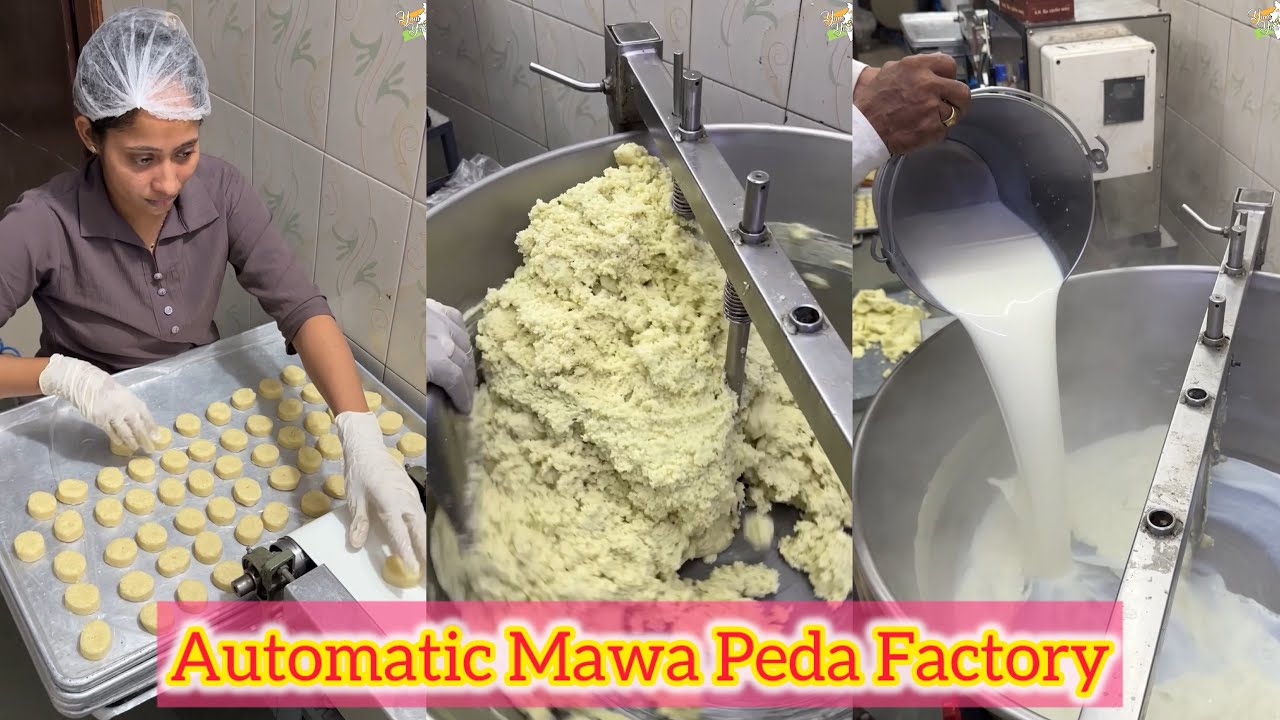 Automatic Mawa Peda Factory in Gujarat😍😍 Bhut tasty hote hai inke Pede🤩🤩