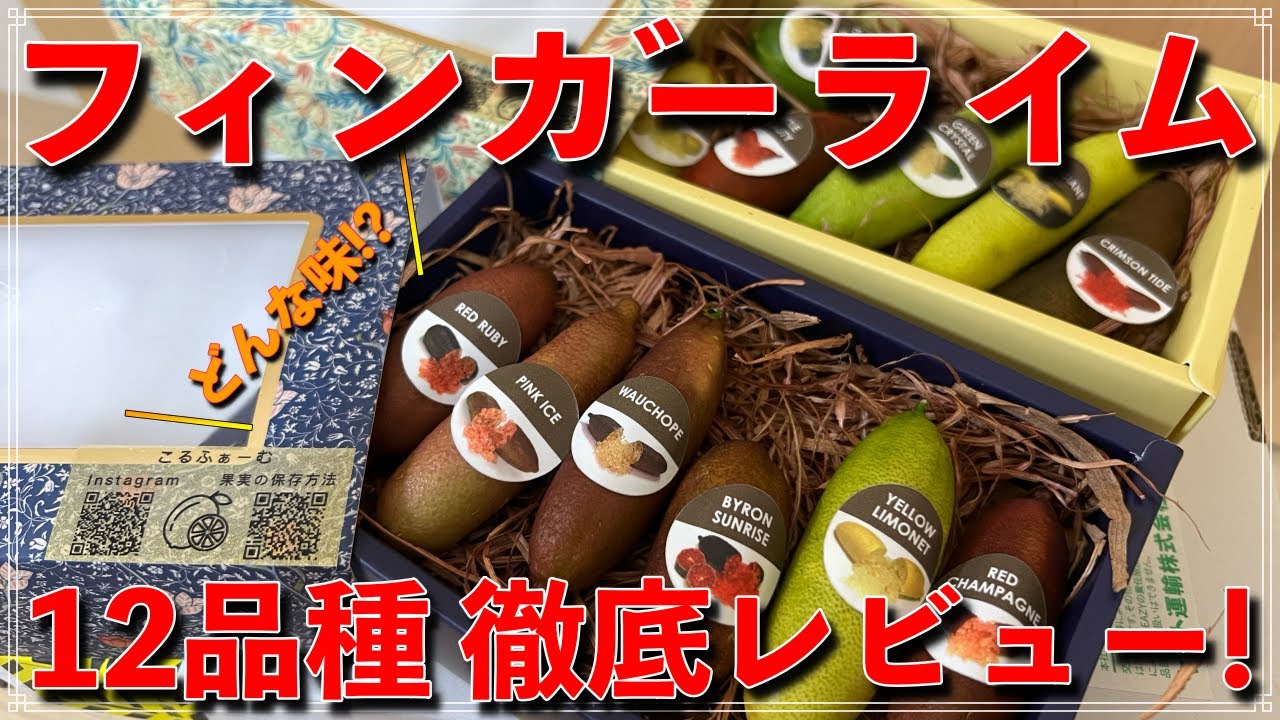 【必見!!】フィンガーライム【１２品種】の徹底レビュー！育てる前に果実の参考にどうぞ！！