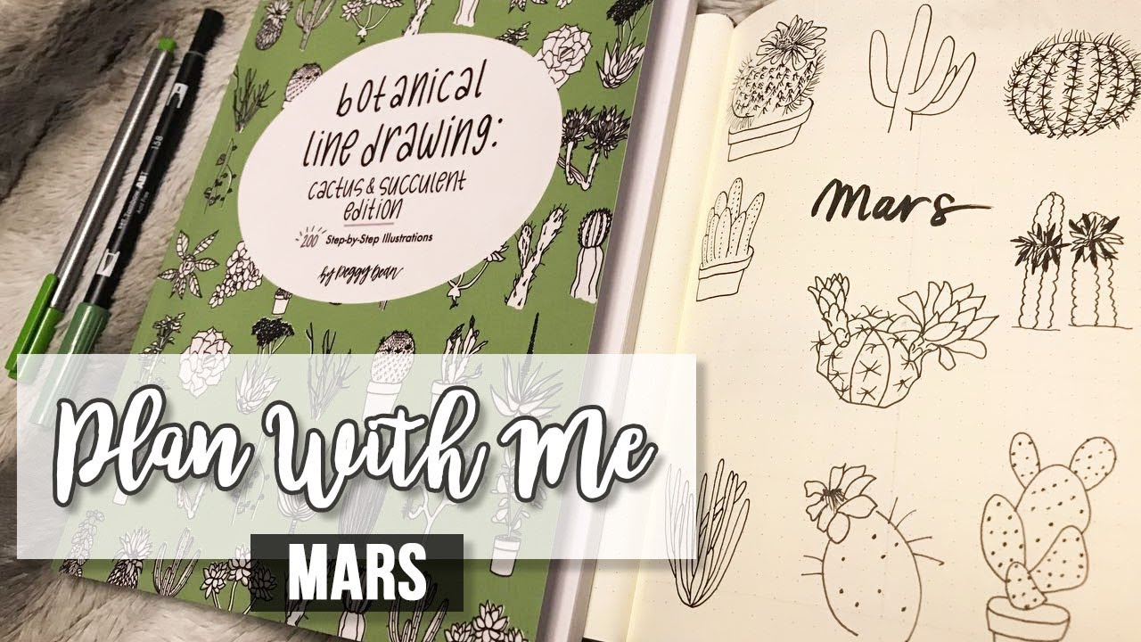 PLAN WITH ME - Mars 2018 | Bullet journal Setup 🐺