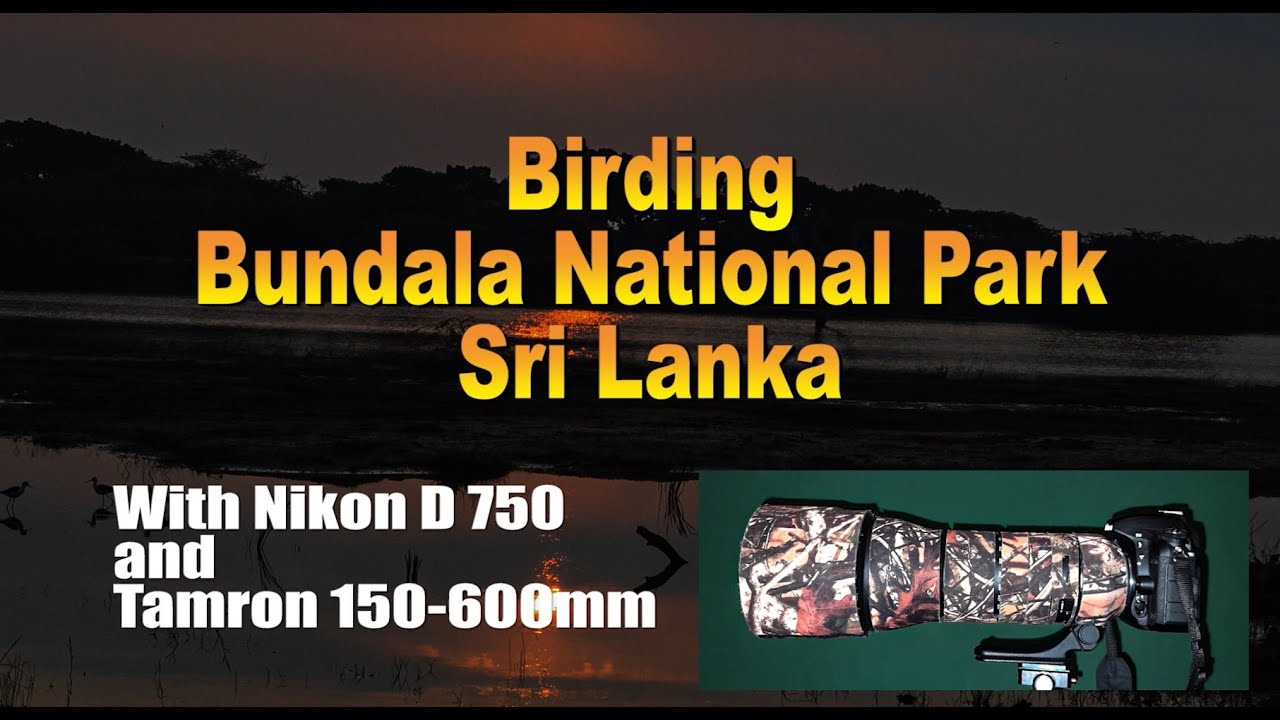 Birding in Bundala National Park in Sri Lanka. Using Nikon D750 camera and Tamron 150-600mm lens