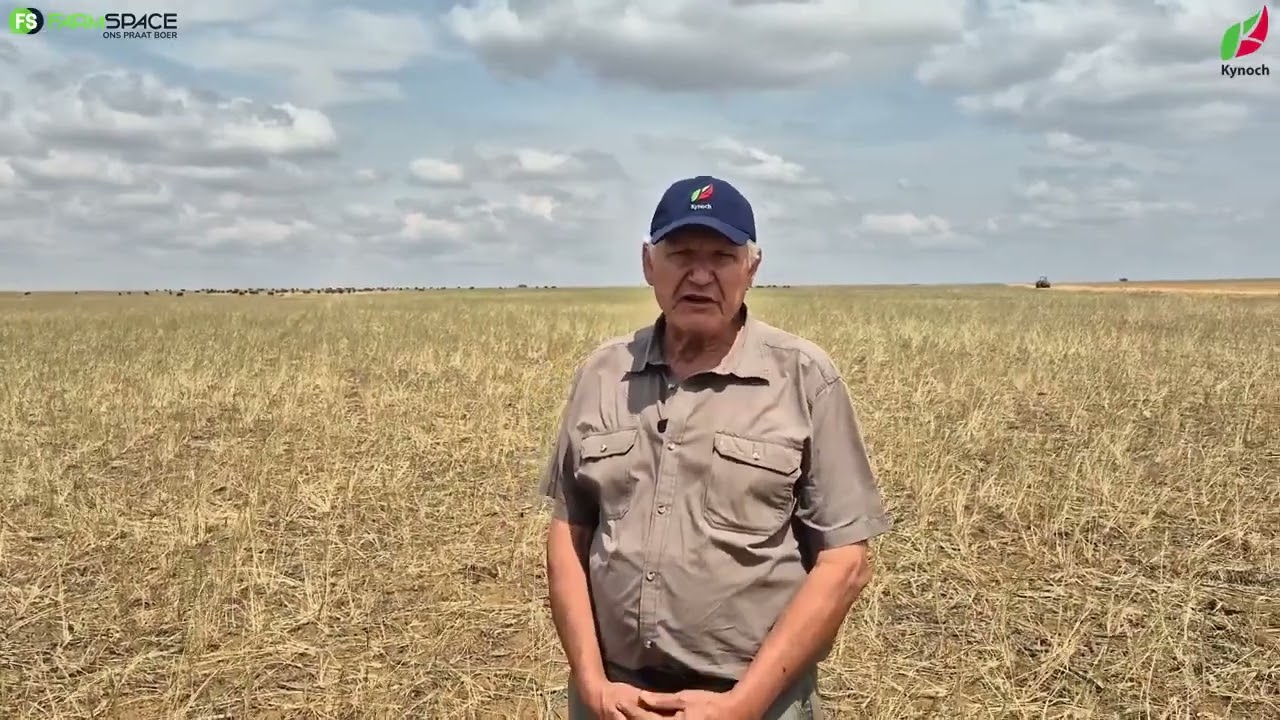 Ontdek hoe Kynoch boere se oespotensiaal verbeter