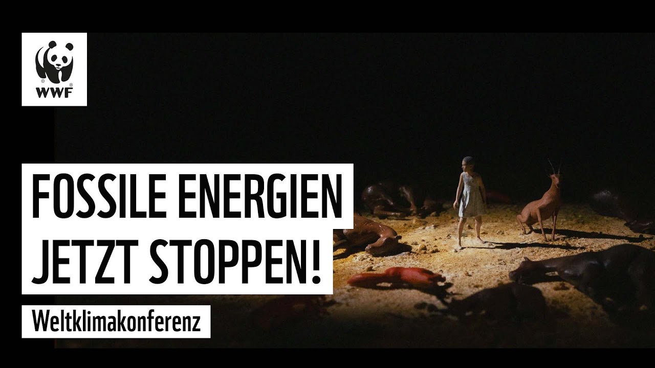 JETZT Förderung fossiler Energien stoppen! COP28