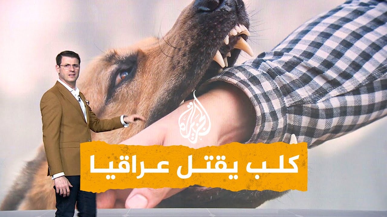 شبكات| عضة كلب تقتل شابا عراقيا