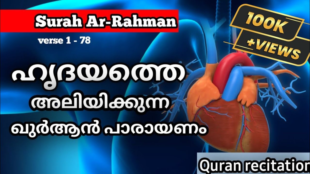 [സൂറത്തുൽ അറഹ്മാൻ] ഹൃദയത്തെ അലിയിക്കുന്ന ഖുർആൻ പാരായണം |Quran recitation|#quran#recitation