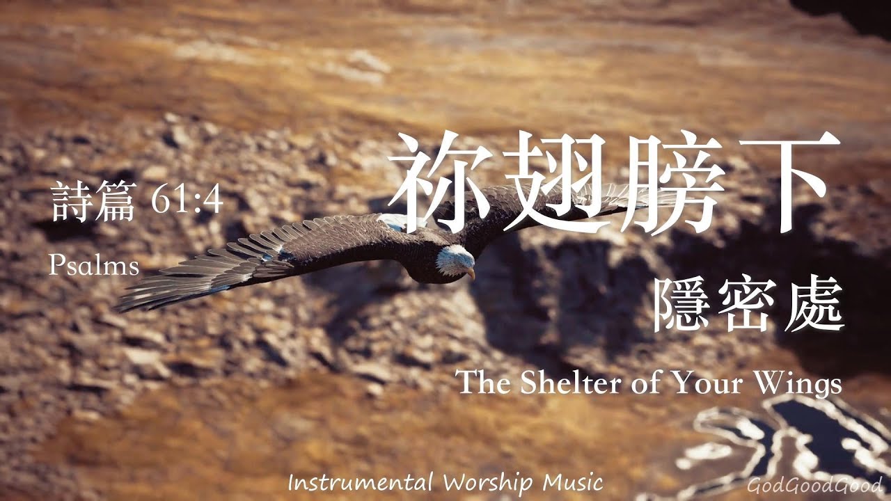 【詩篇61:4】祢翅膀下｜等候神音樂｜Instrumental Worship Music｜靈修禱告音樂｜Piano｜Prayer｜ピアノ賛美｜ソーキング音楽｜Psalms｜QT｜輕音樂｜BGM