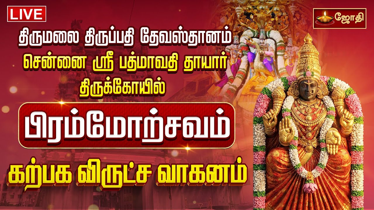 🔴LIVE: திருப்பதி தேவஸ்தானம் சென்னை ஸ்ரீபத்மாவதிதாயார் கோயில் | பிரம்மோற்சவம் கற்பக விருட்ச வாகனம்