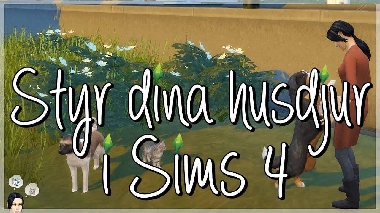 Sims 4 || Testar modden som g&ouml;r att man kan styra sina husdjur &hearts;