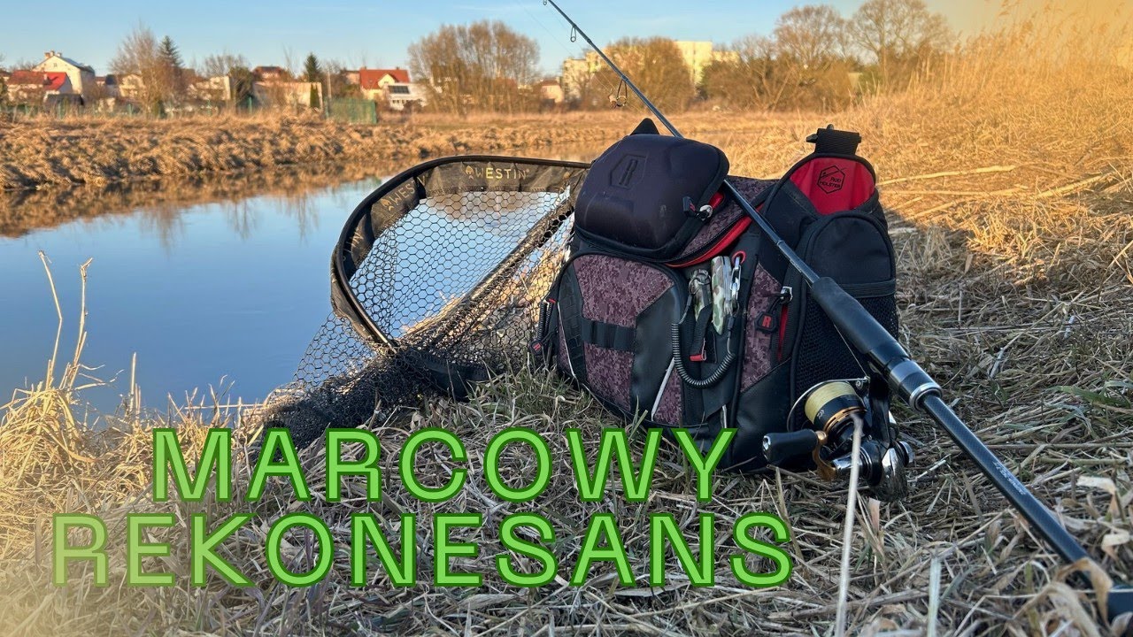 Marcowy rekonesans -z każdym dniem będzie lepiej #wędkarstwo #streetfishing  