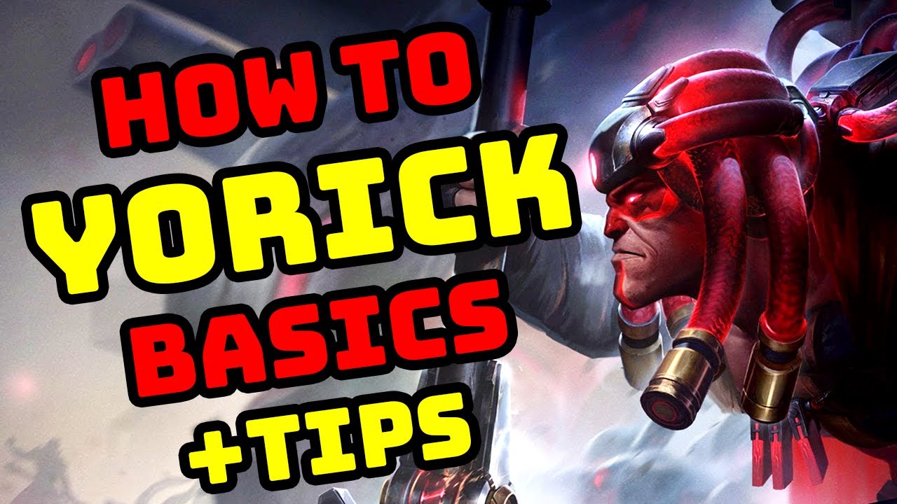 How to YORICK - Basics Guide