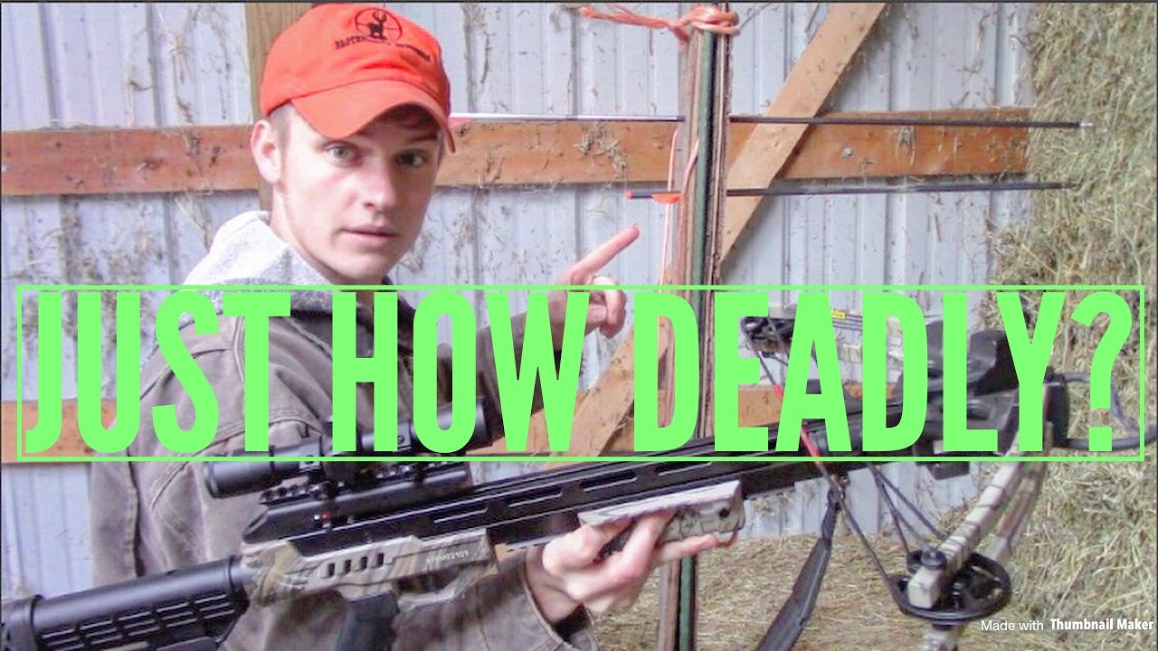 Just How DEADLY Is The CenterPoint Sniper 370 Crossbow?