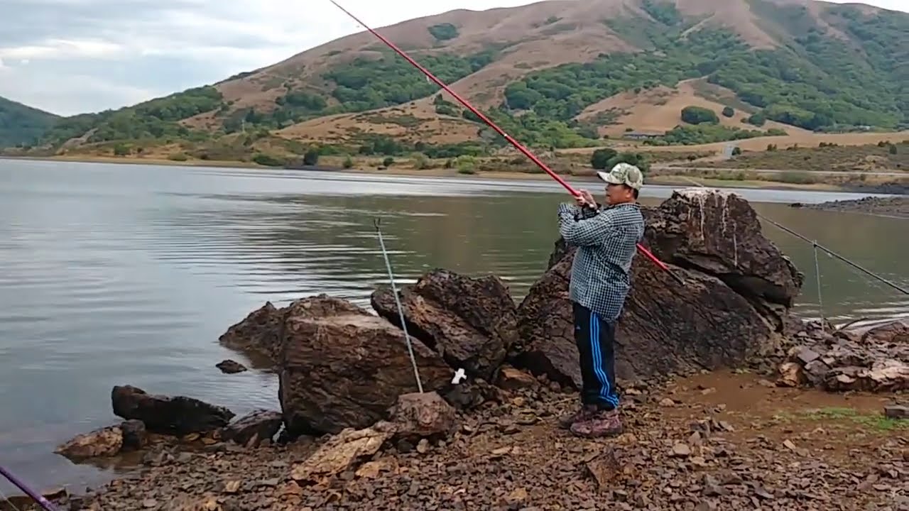 Fishing in the rain. Bringing my Vercelli SPYRA IMPERATOR and SPYRA LOMBARDA 8/16/20