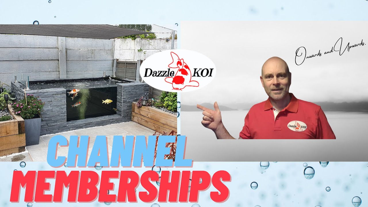 Dazzle Koi Channel Memberships