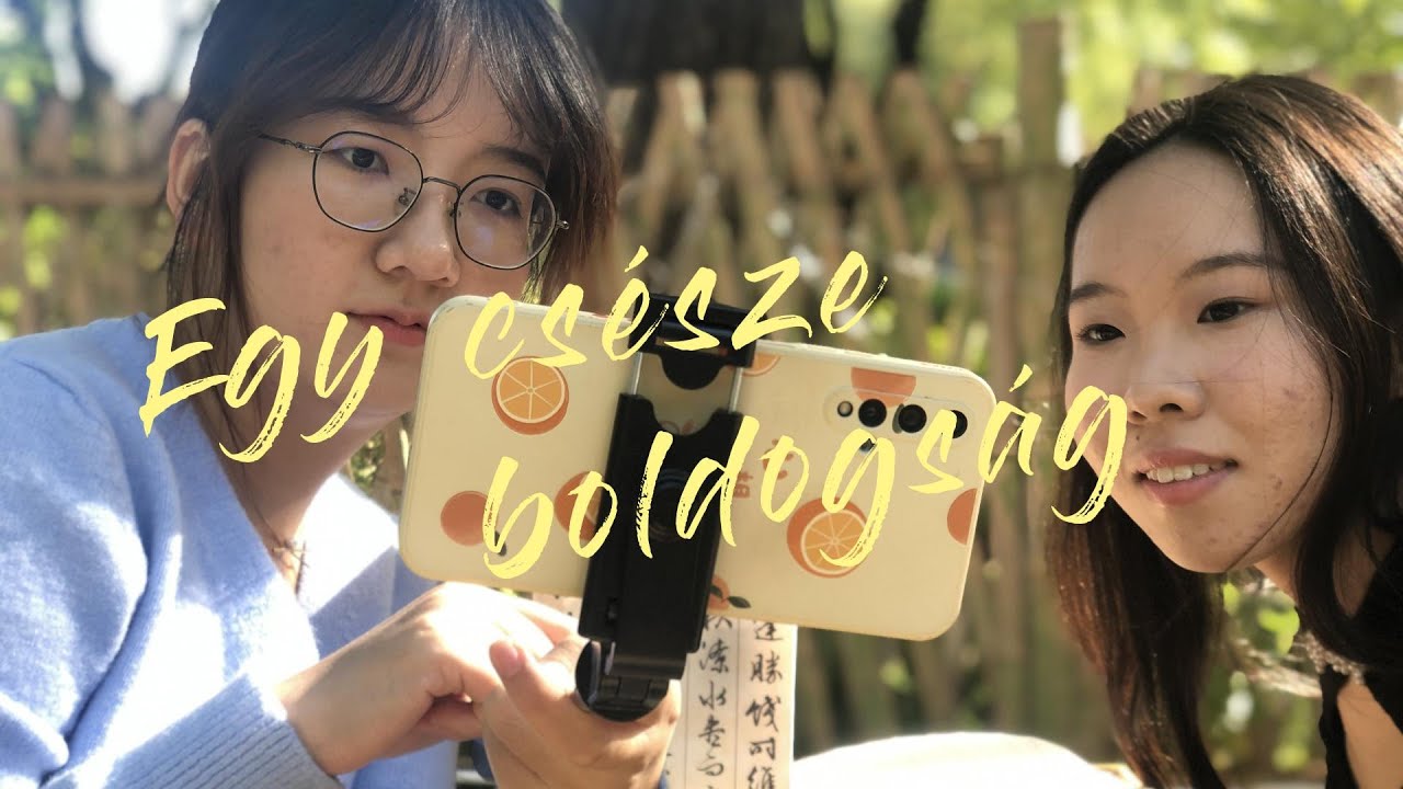 Vivi&N&oacute;ri: TE&Aacute;ZTUNK🍵✨ | H&aacute;rom k&uuml;l&ouml;nb&ouml;ző st&iacute;lus&uacute; teah&aacute;z Pekingben