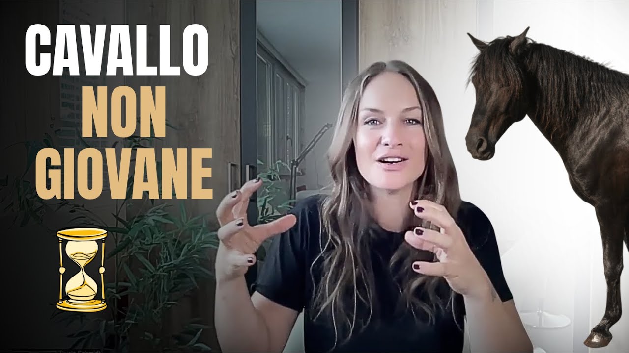Cosa fare con cavalli di 16-17 anni che non hanno mai completato il loro addestramento?