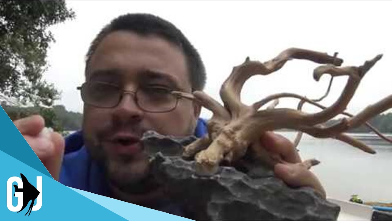 #595: How to Connect Aquascaping Stone and Driftwood - DIY Wednesday