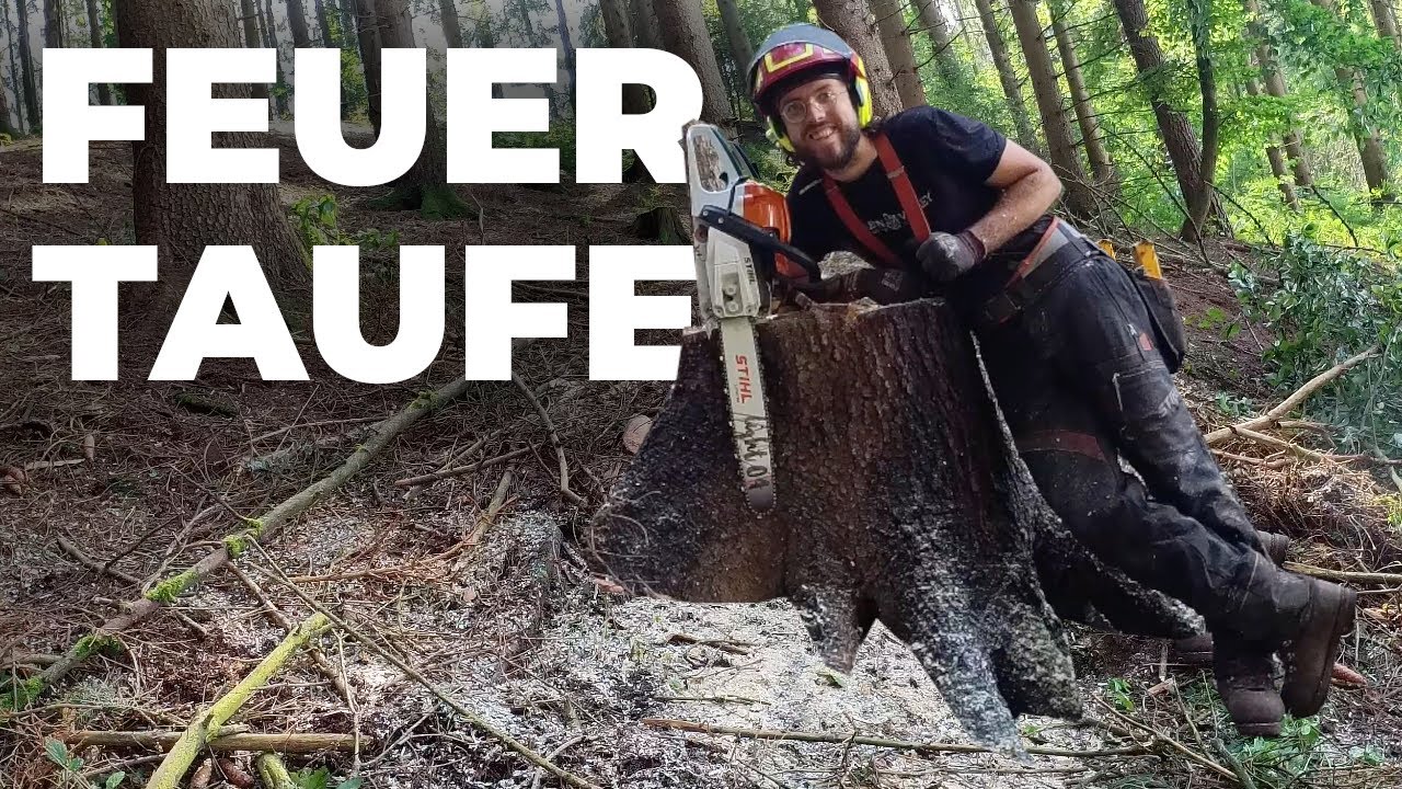 Ersatz für HUSQVARNA 550 MARK 2 ist STIHL MS 261 C | Benzin-Motorsäge Praxistest Vollgas im Wald