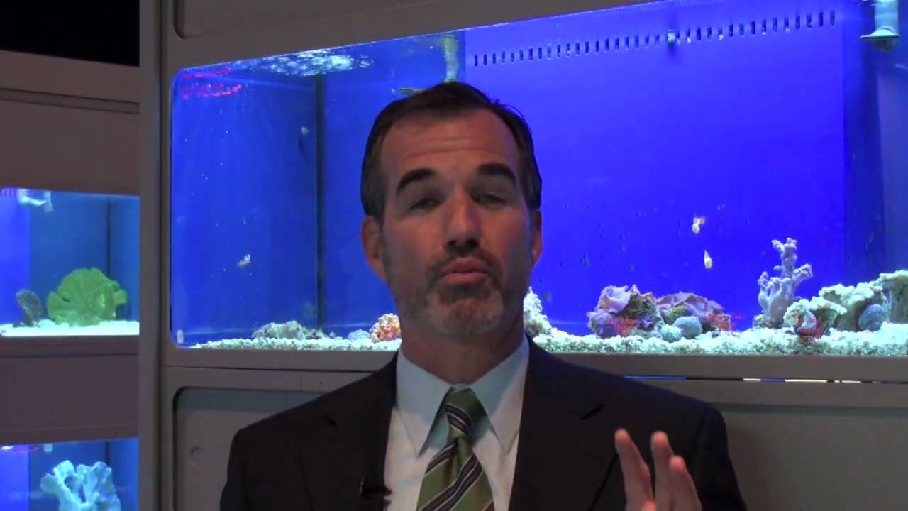 Jeff Brady of Brady Media Group - Crafting a good story...with Nemo