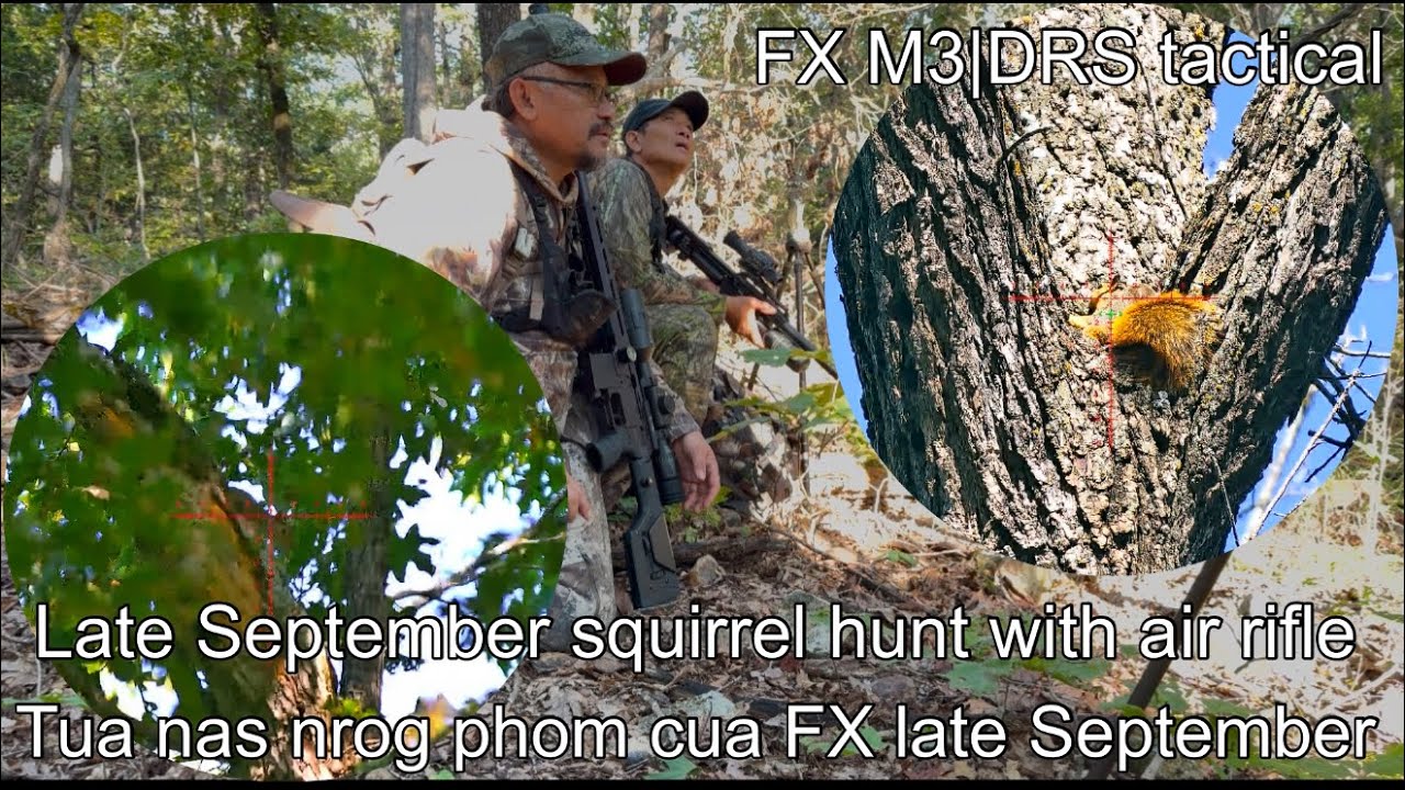 Late September squirrel hunt with air rifle | Harvest mushroom & Paw Paw fruit | Tua nas