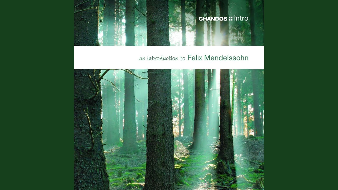 Piano Concerto No. 1 in G Minor, Op. 25: I. Molto allegro con fuoco