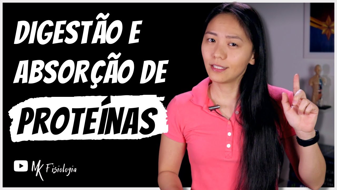 Digestão e absorção de proteínas | MK Fisiologia