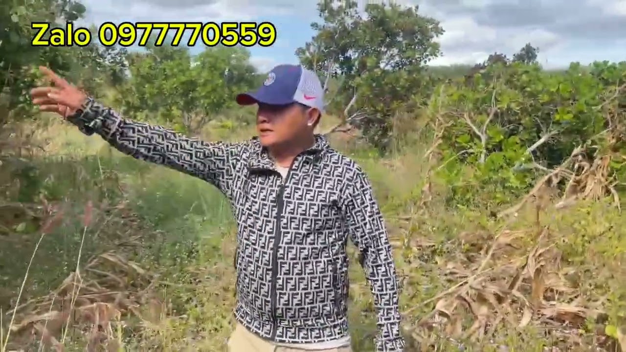 Hơn 2ha đất ôm 200m sông lớn. Thích hợp trồng tất cả các loại cây 