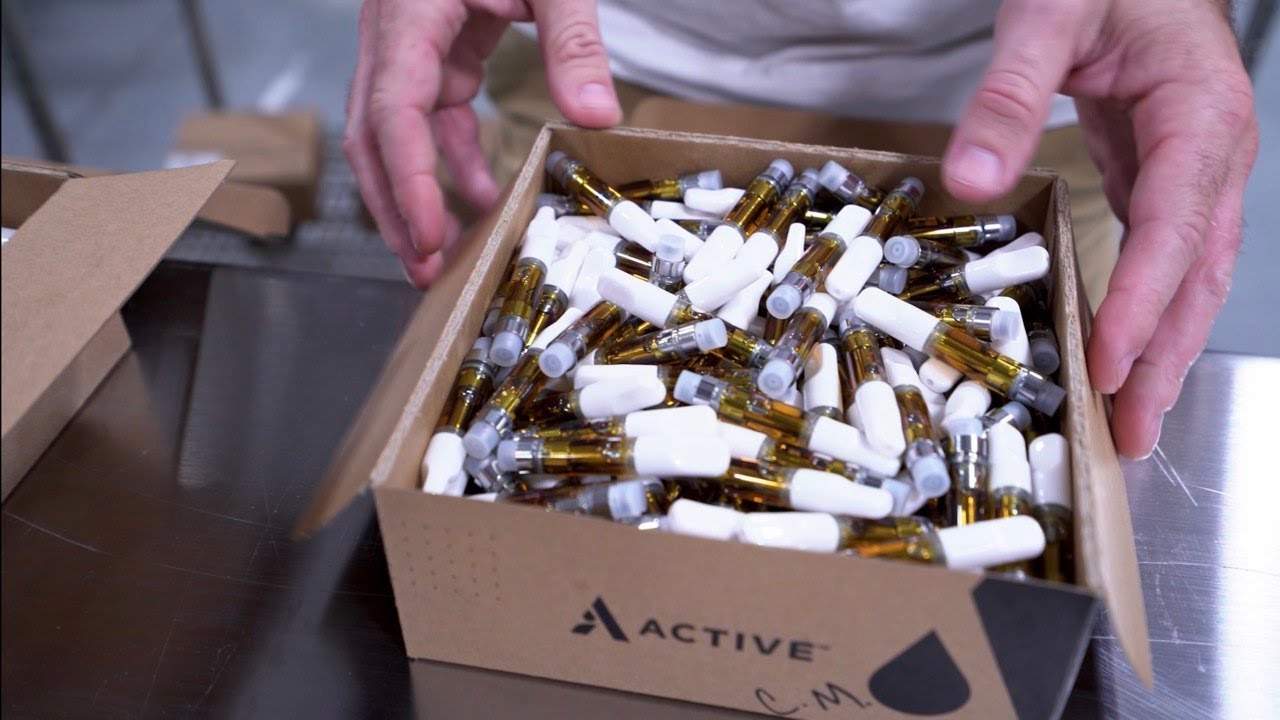 Chico Cannabis Company CEO David Petersen Talks Automation