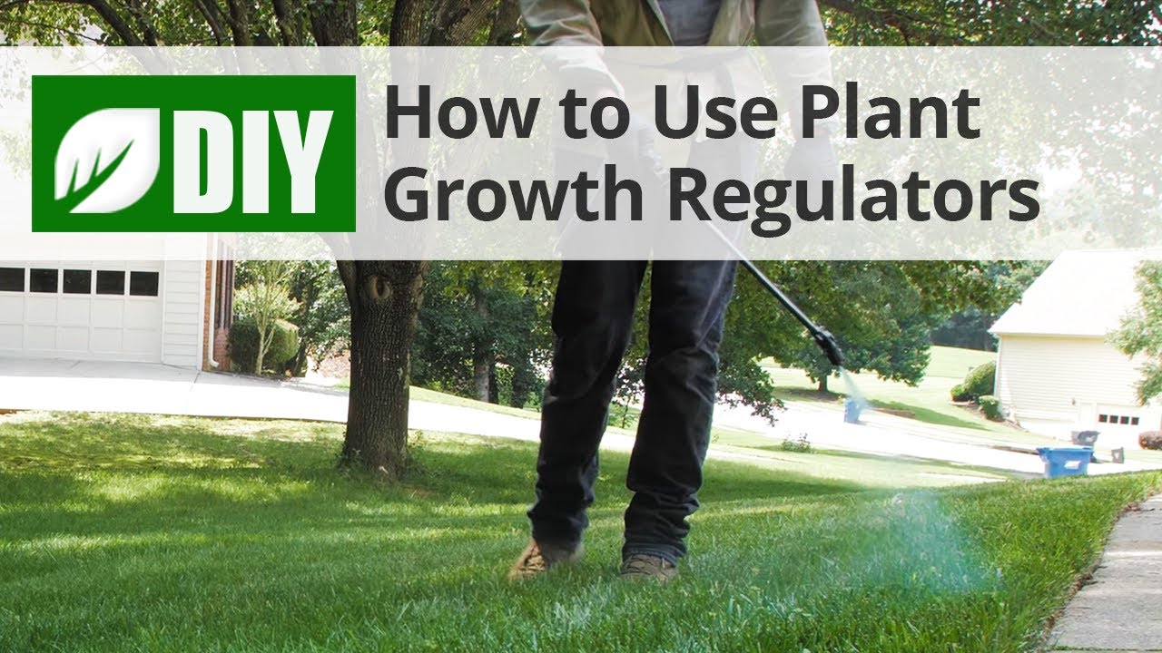 How to Use Plant Growth Regulators | DoMyOwn.com