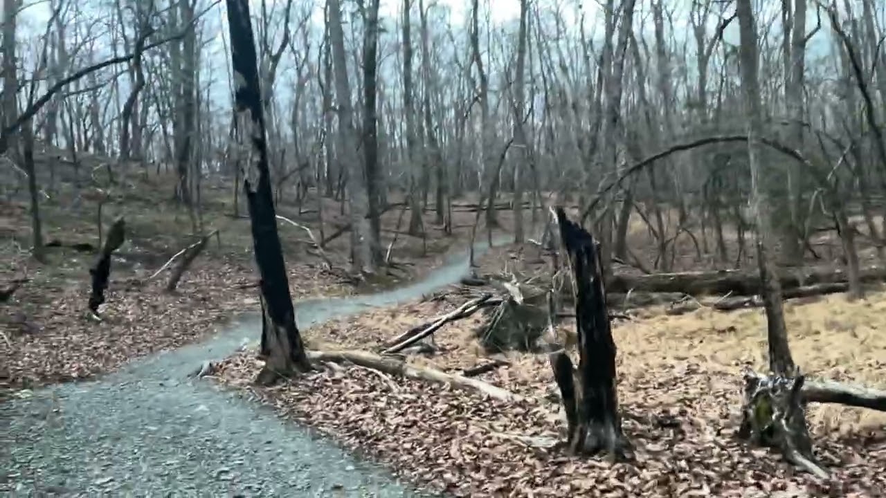 2/21/26 morning hike with friends