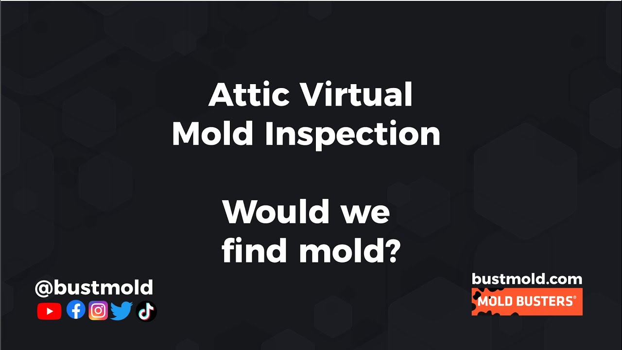 Attic Virtual Mold Inspection, Was Mold Present? #shorts