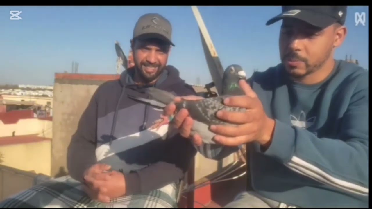 زيارة عند الاخ وصديق سمحمد هديدي بطل من ابطال مدينة القنيطرة 😍🕊️