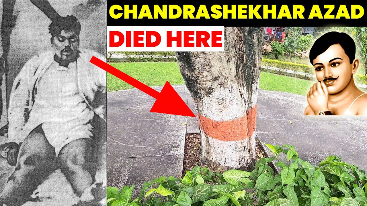 Amar Shaheed Chandra Shekhar Azad Park, Prayagraj | Complete Guide with Map | UP #12