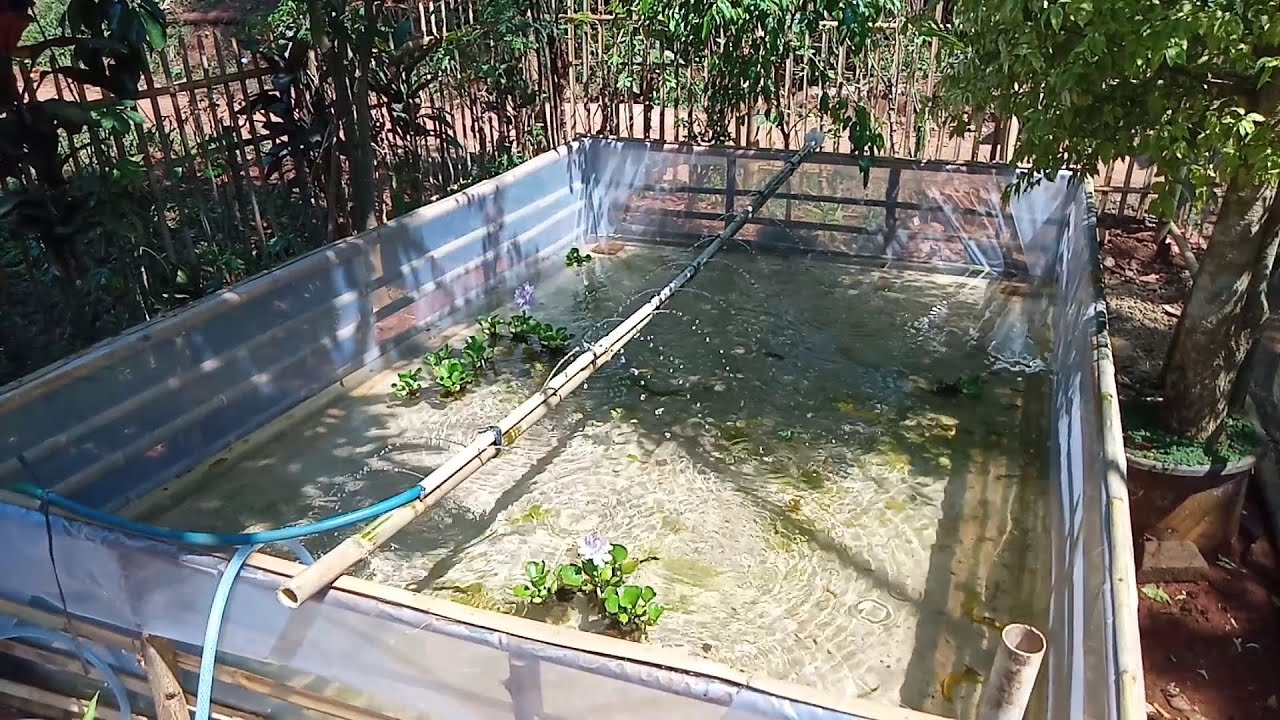 Membuat Kolam Ikan Dari Plastik