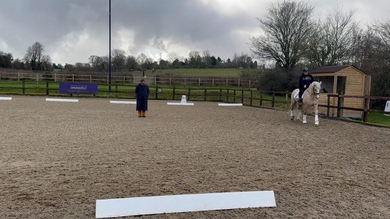 Vicky & Buds, BD Test/training Assessment with Lizzie Murray. Sparsholt.
