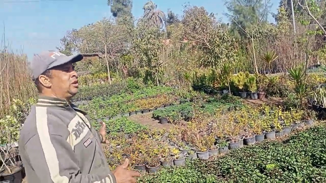 بسم الله ما شاء الله تبارك الله توصيل لاي مكان 01282809229