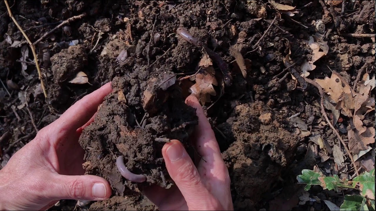 Le sol : &agrave; vos exp&eacute;riences!