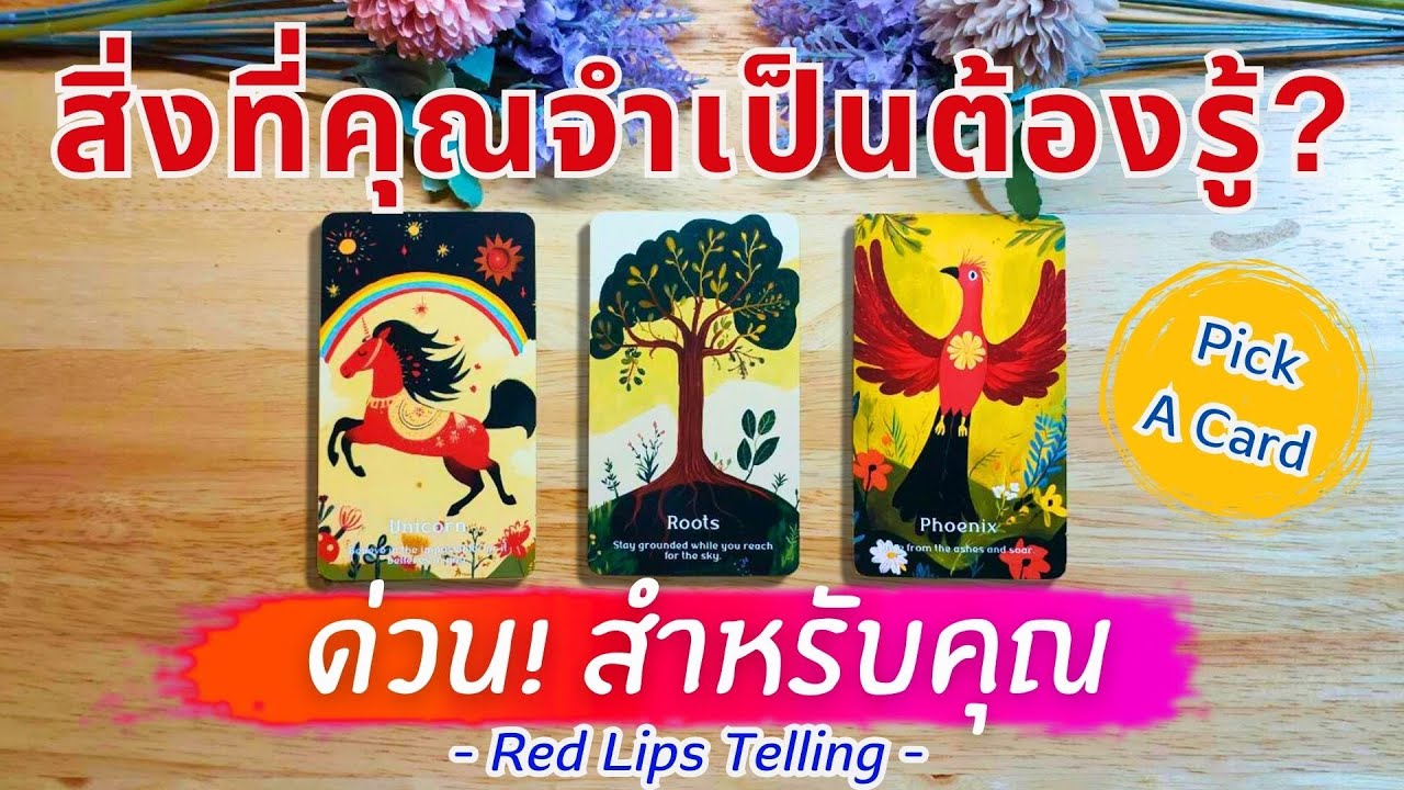 Pick A Card : สิ่งที่คุณจำเป็นต้องรู้? ด่วน! สำหรับคุณ [ Timeless ]