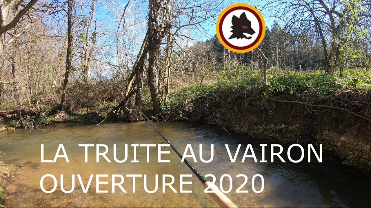 PECHE DE LA TRUITE AU VAIRON,OUVERTURE 2020