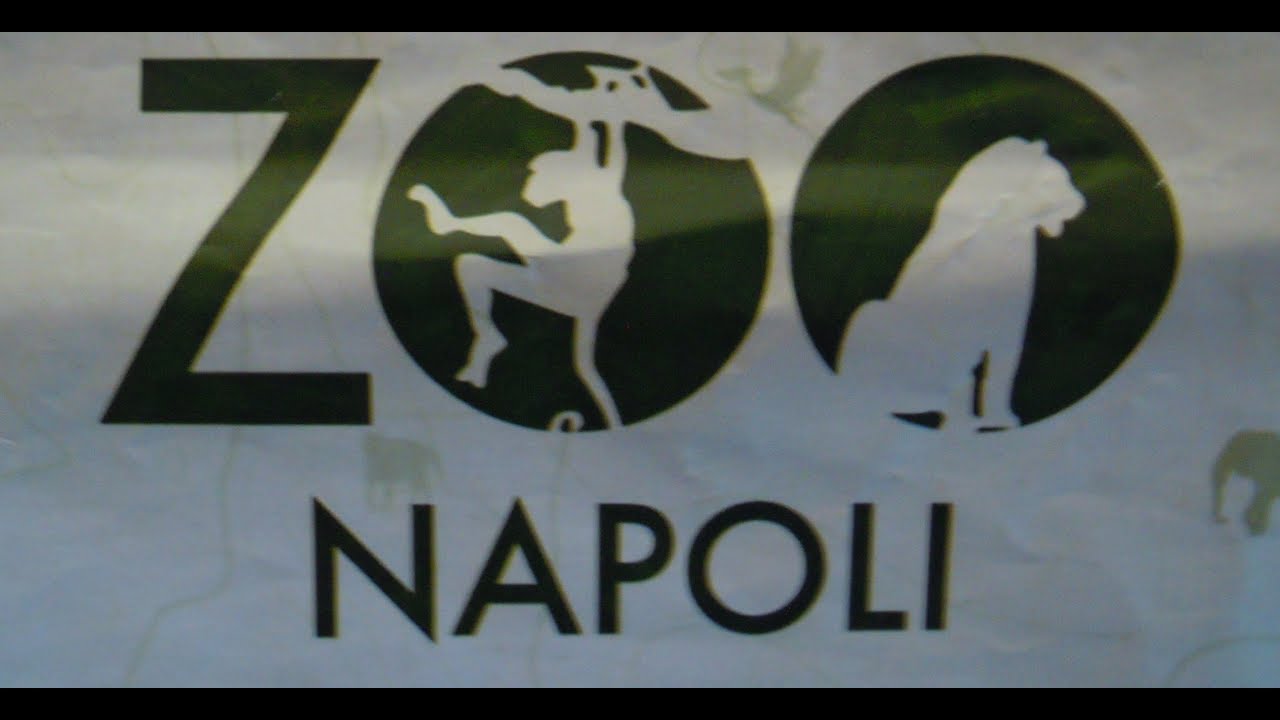Una visita allo Zoo di Napoli